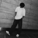 @feat.dino