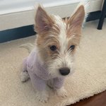 @hank_says_hank